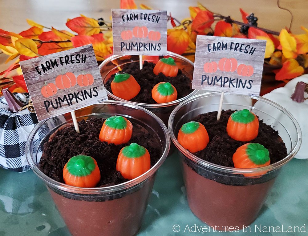 Pumpkin Patch Pudding Cups - Fall Fun and Games for Grandkids -Adventures in NanaLand