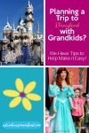 Planning a Trip to Disneyland with Grandkids - Adventures in NanaLand